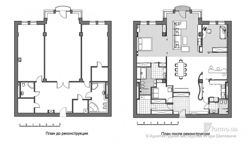 Ветка сакуры